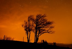 Arbres soufflés par le vent sous le ciel étoilé du Creux-du-Van