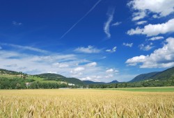 Vue du village de Couvet depuis Môtiers