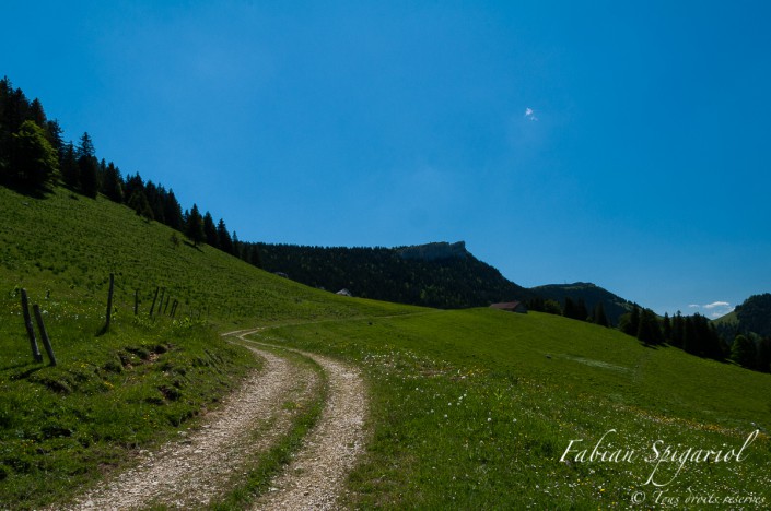 Vue estivale de la face nord du Chasseron avec au premier plan le chemin blanc menant aux Roches éboulées.