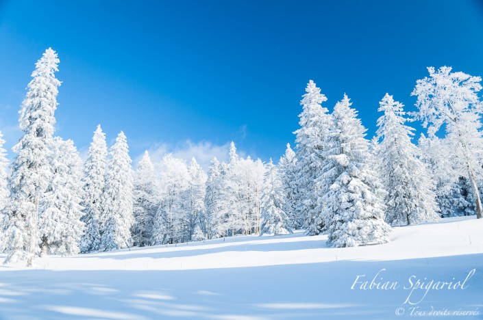 Forêt figée & Arbres givrés - Lorsque les arbres sont saupoudrés de neige, la forêt bordant la ferme du Soillat près du Creux du Van prend des airs de Taïga...