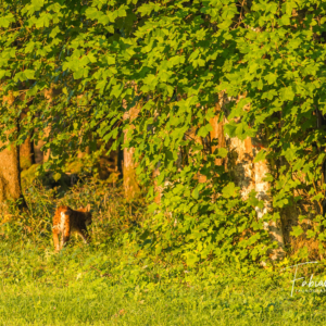 28082013-DSC_6931.jpg