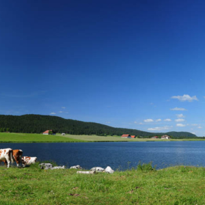 Lac des Taillères