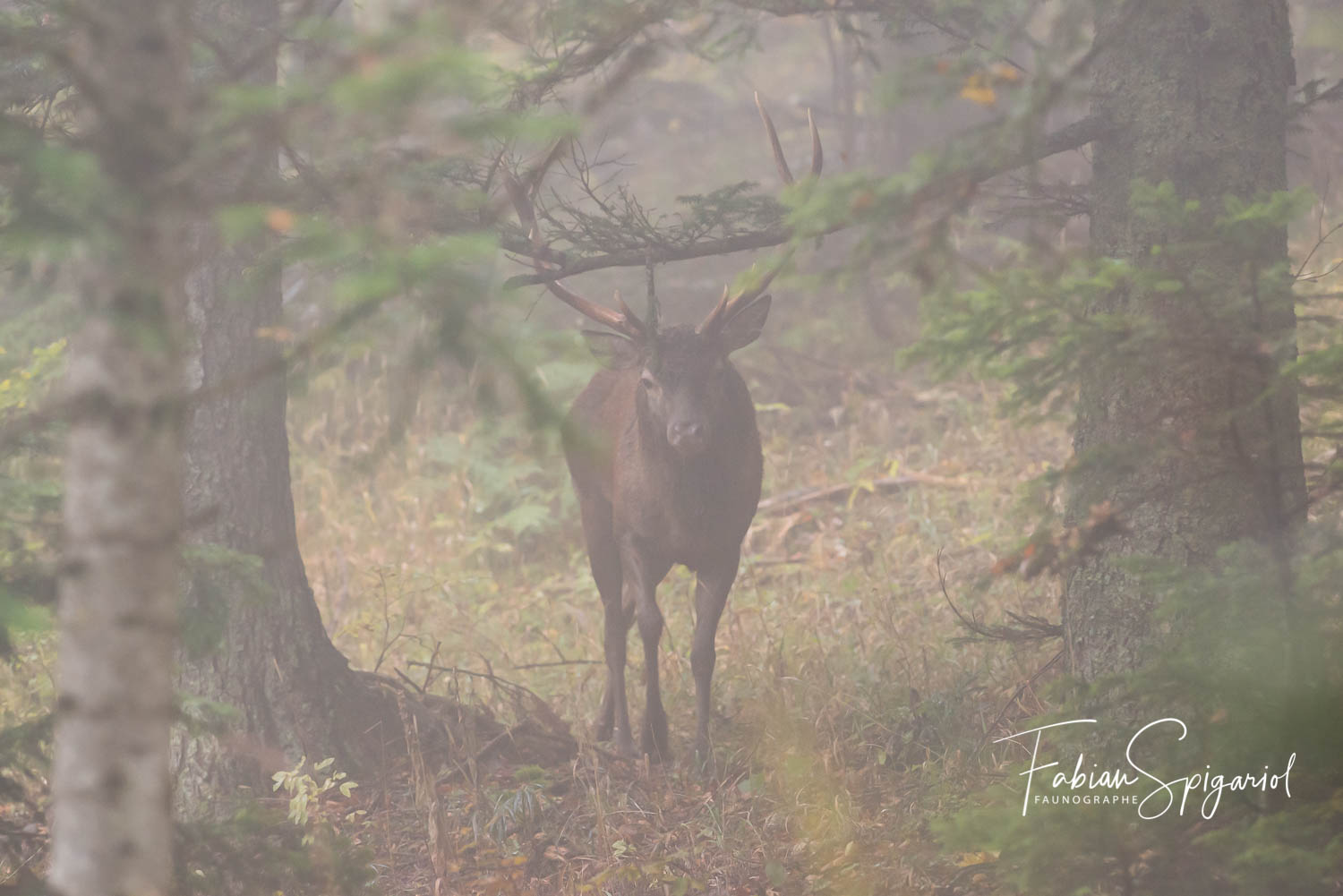 rencontre val de travers