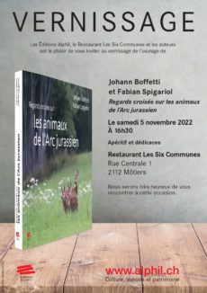Vernissage