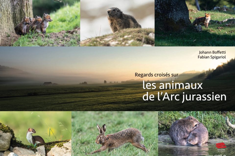 Quand la RTS parle de notre livre, c'est Chouette...
